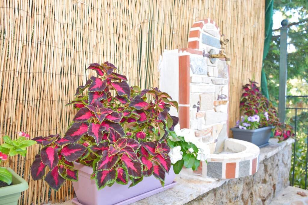 Casa Tramonto Beach View 아기오스고르디오스 외부 사진